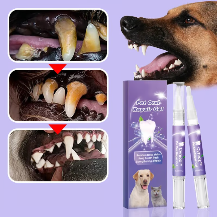 Aurora Dog Toothbrush Pen