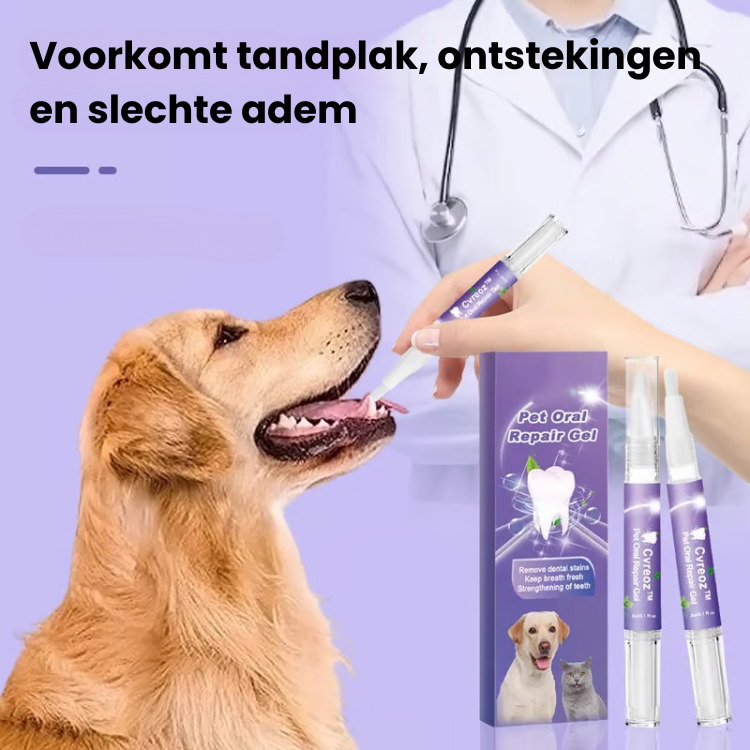 Aurora Dog Toothbrush Pen