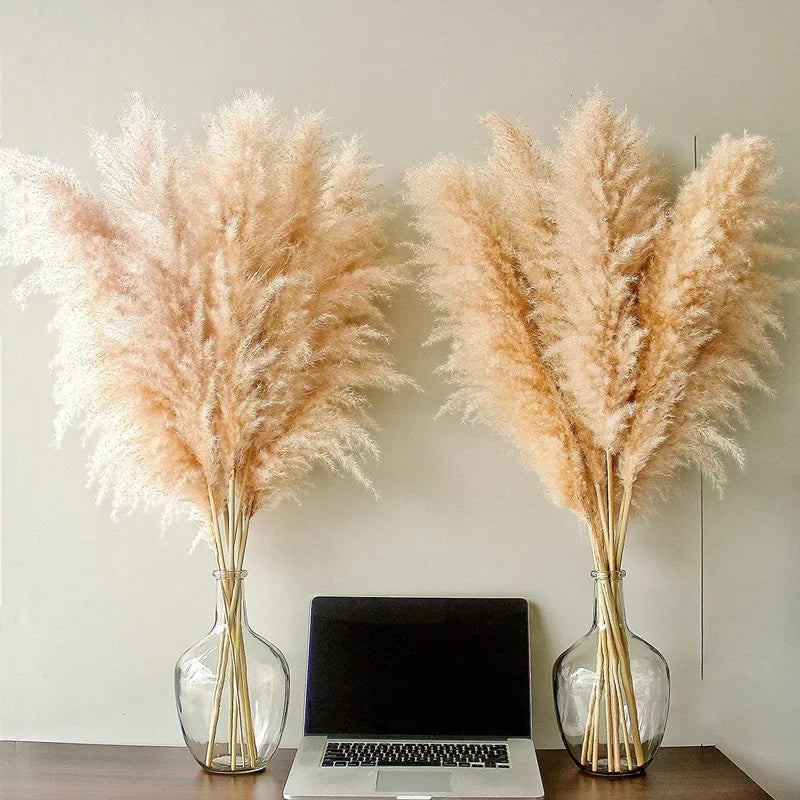 Bohemian Pampas Pluimen - Stijlvolle Natuurlijke Decoratie