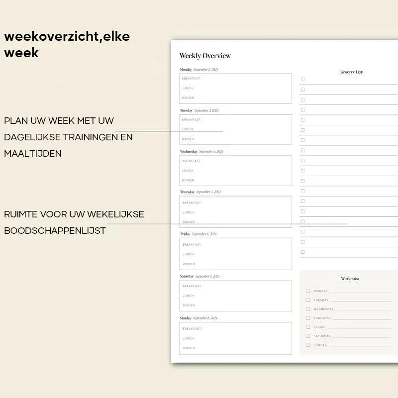 Aurora Daily Planner