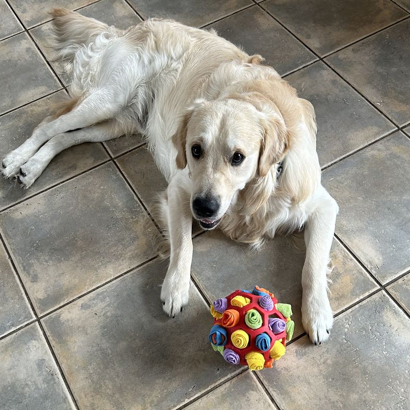 Snuffelbal Honden Puzzel Speelgoed | 1+1 GRATIS