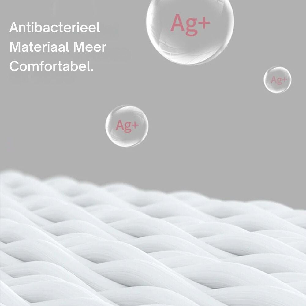 2 Pack Autonekkussen