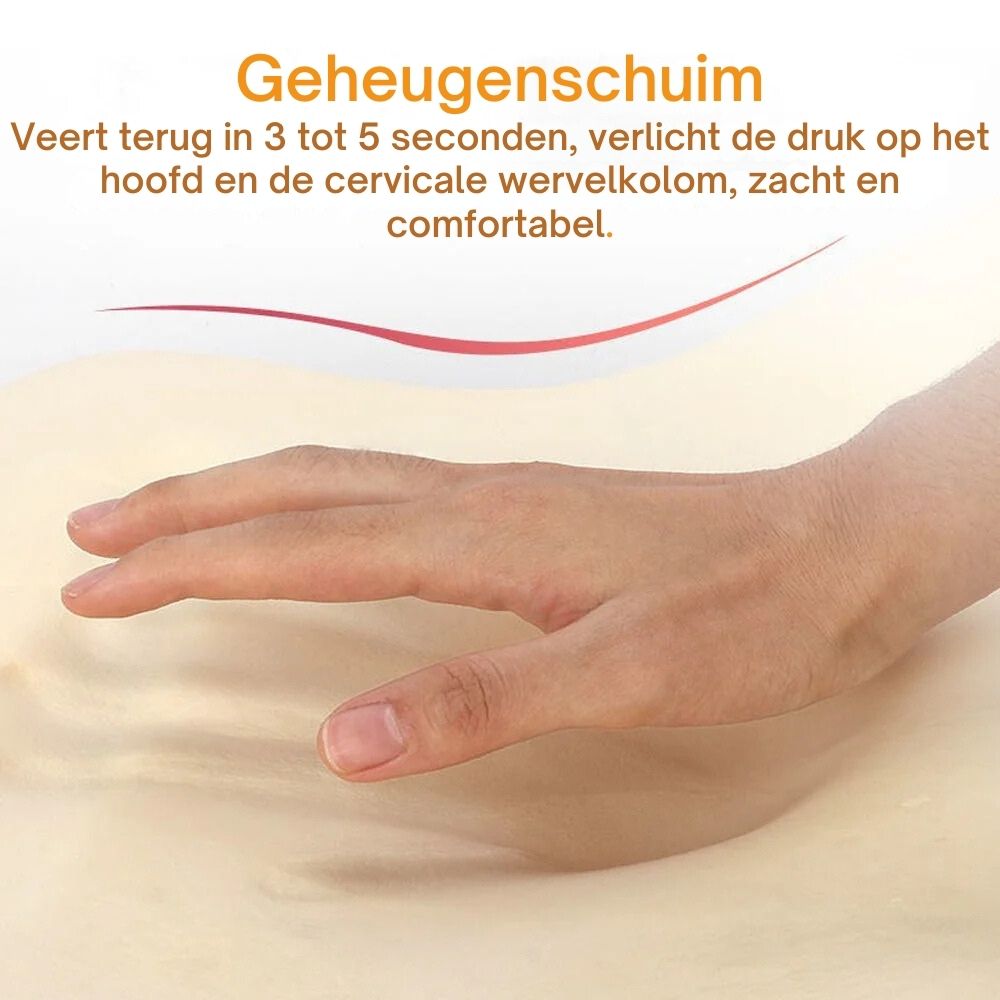 2 Pack Autonekkussen