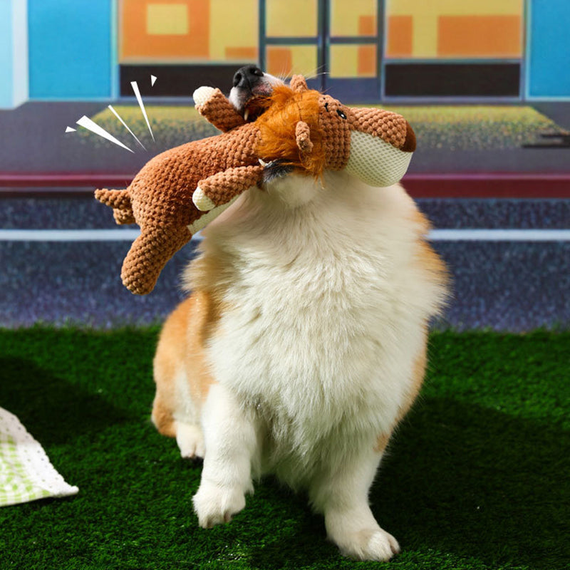 Extra Sterk Honden Speeltje (1+1 GRATIS)