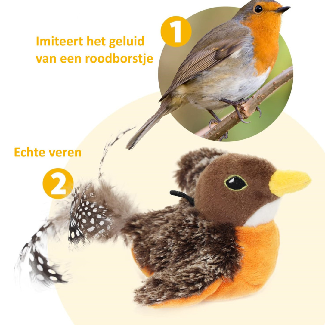 FlyFrenzy - Dé manier om je kat actief en vermaakt te houden!