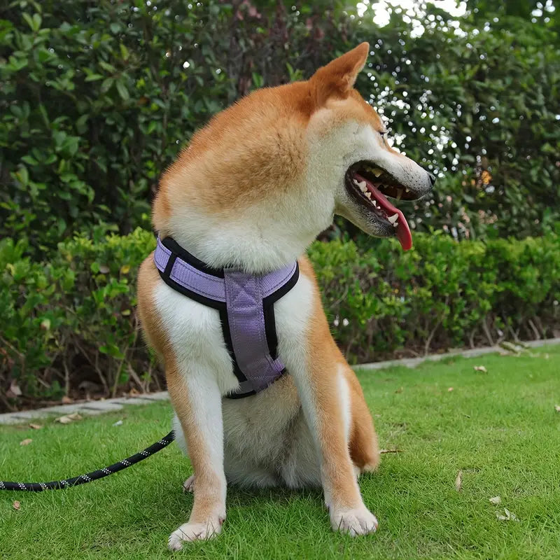 Anti-ontsnap Reflecterend Honden Tuig Met Handvat