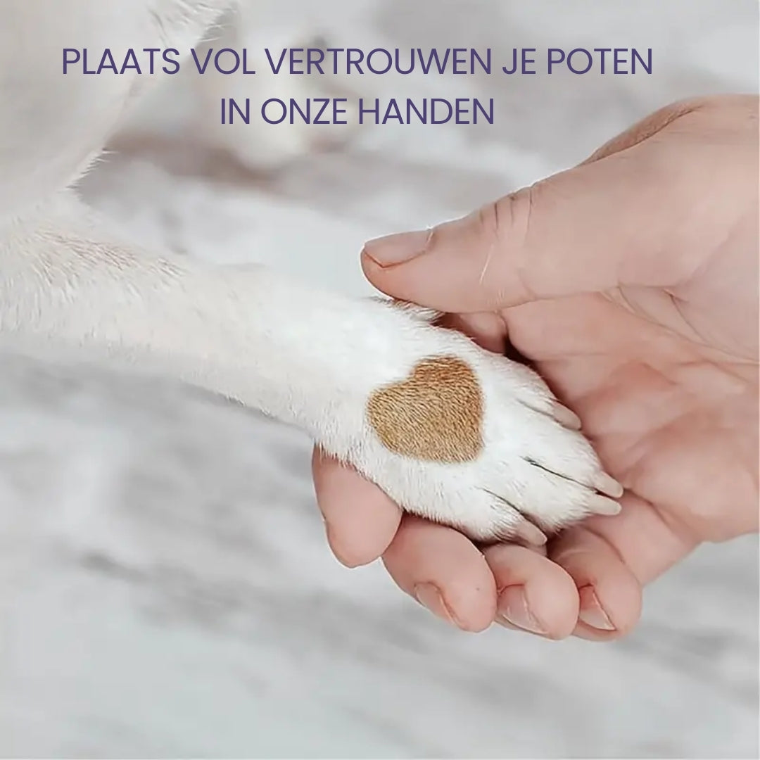 Stressvrije Handmatige nagelvijl voor honden (1+1 GRATIS)