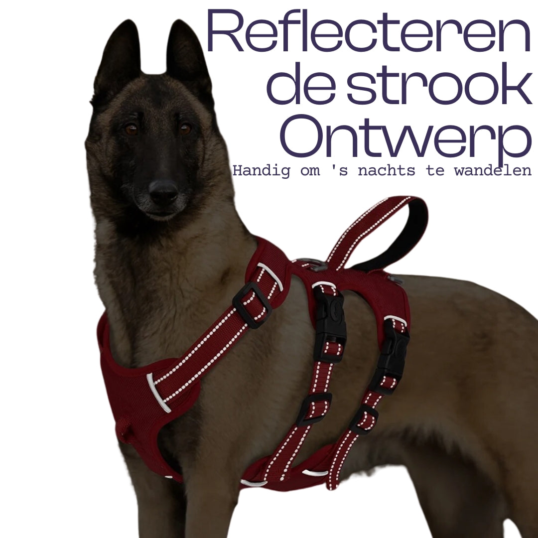 Anti-Ontsnap Hondentuig Met 3 Bevestigingspunten Reflecterend