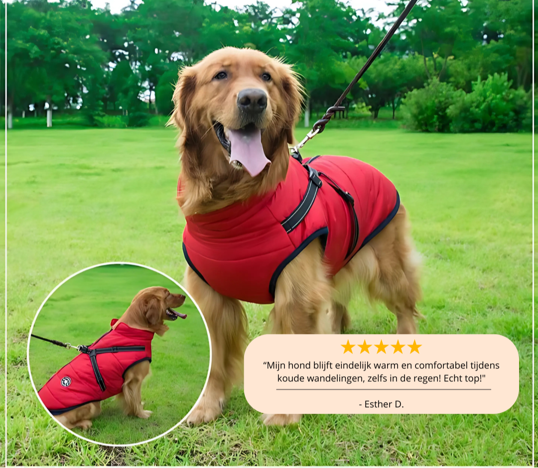 PawShield - Warm & Waterdicht voor de Winter!