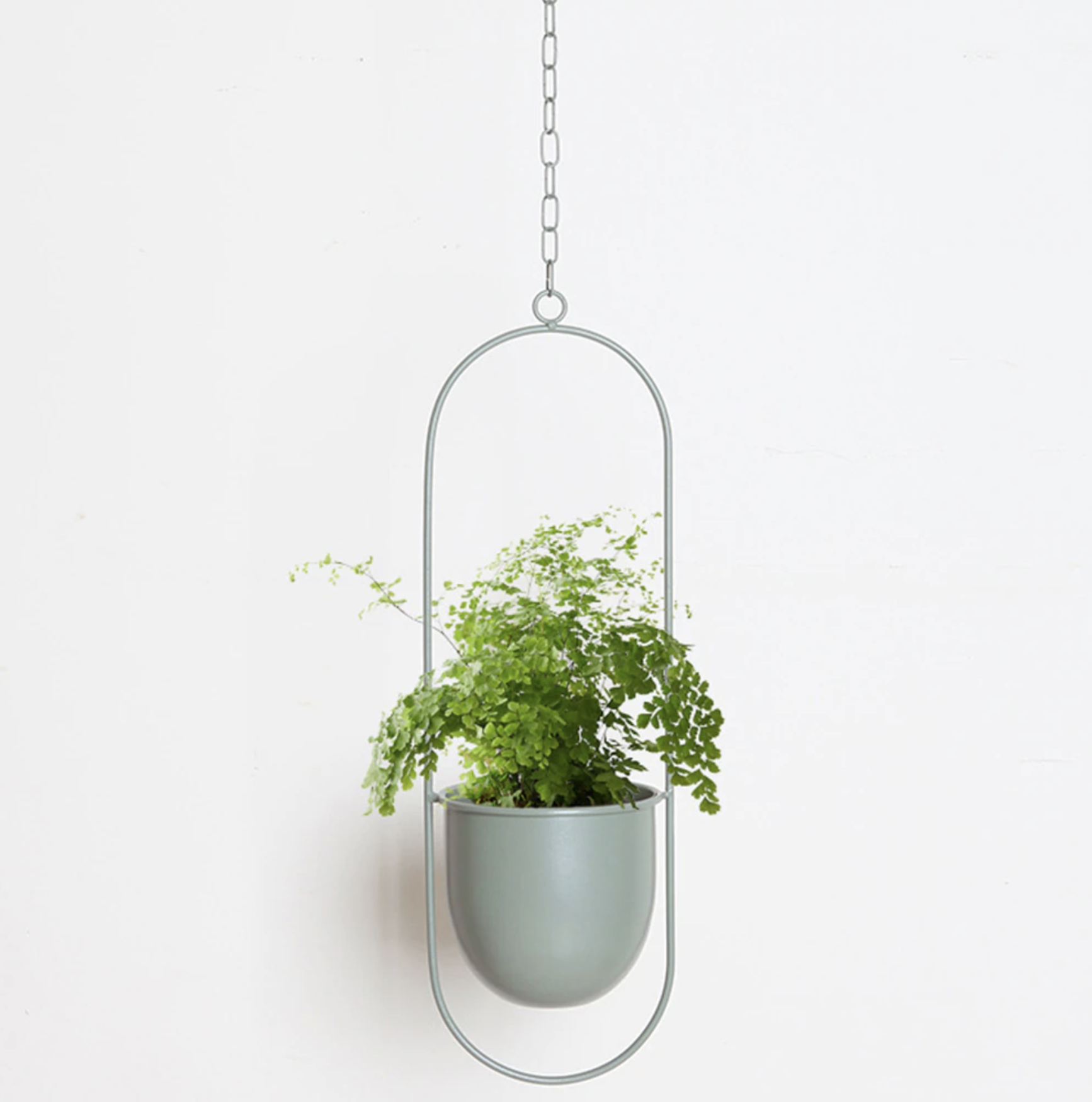 Plant&Tuin | Moderne Minimalistische Plantenhanger van IJzer met Aanpasbare Hangketting – Perfect voor Muurdecoratie