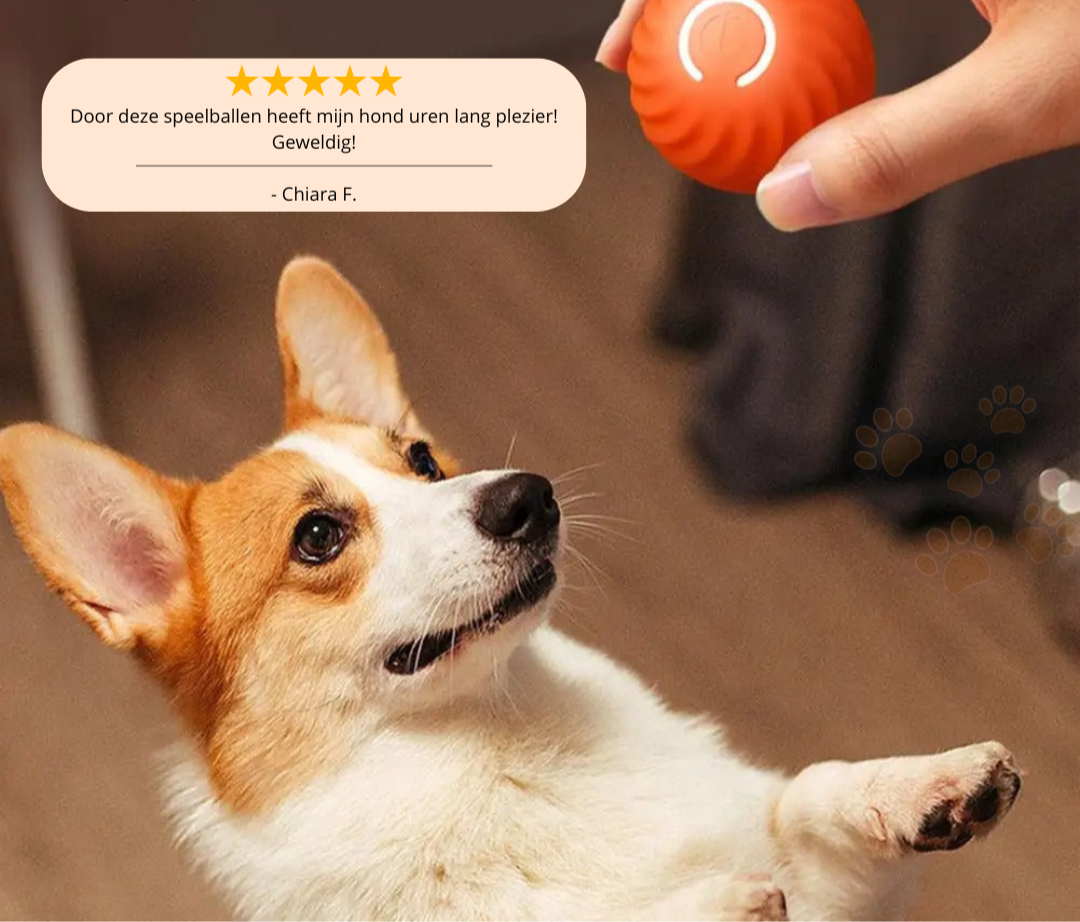 Smartball 2.0 - Automatisch rollende speelbal!