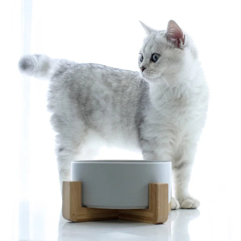 Keramische Voerbak - Set van 2