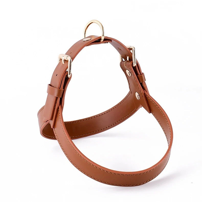 HONDENHUG - Waterdicht Leren Hondentuig | Comfort en Stijl voor Elke Hond