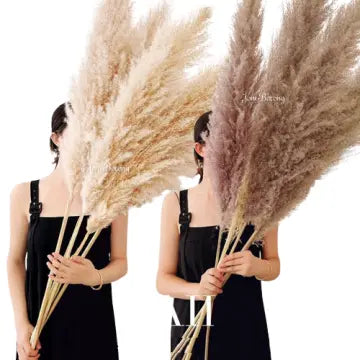 Bohemian Pampas Pluimen - Stijlvolle Natuurlijke Decoratie
