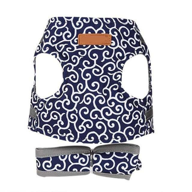 Kattenvest | Harnas Set | Comfortabel Verstelbaar Gaasvest | Perfect voor Wandelen, Joggen en Hiken | Maat XS-S | Inclusief Tractietouw 1,2m | Polyester | Ideaal voor Kittens en Volwassen Katten