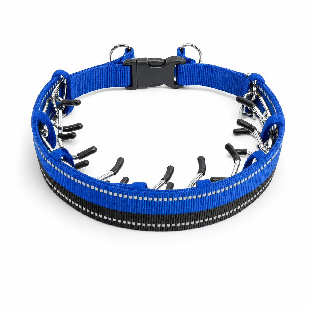 Trainingshalsband van roestvrij staal in blauw