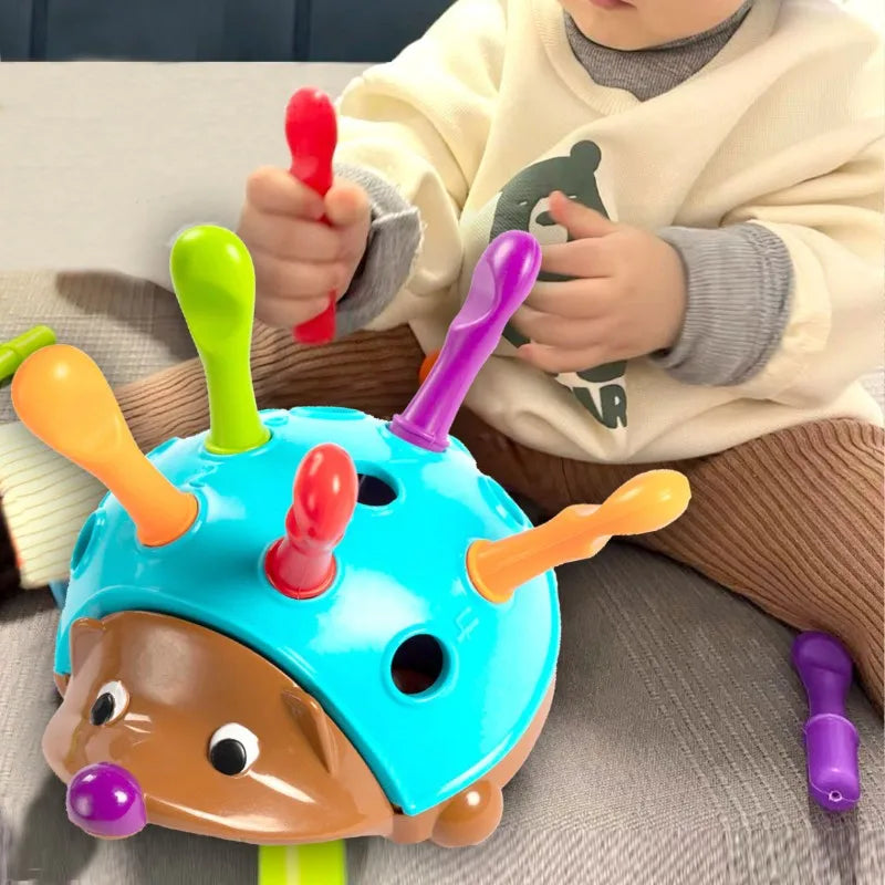 SensorySprout | Educatief kinderspeelgoed - Sensorische vaardigheden - Leuk en leerzaam