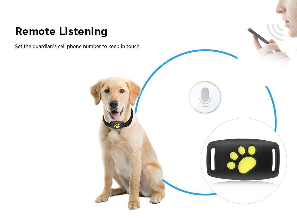 TRACKTAILS - GPS Volgsysteem voor Katten | Real-Time Tracking & Lange Batterijduur