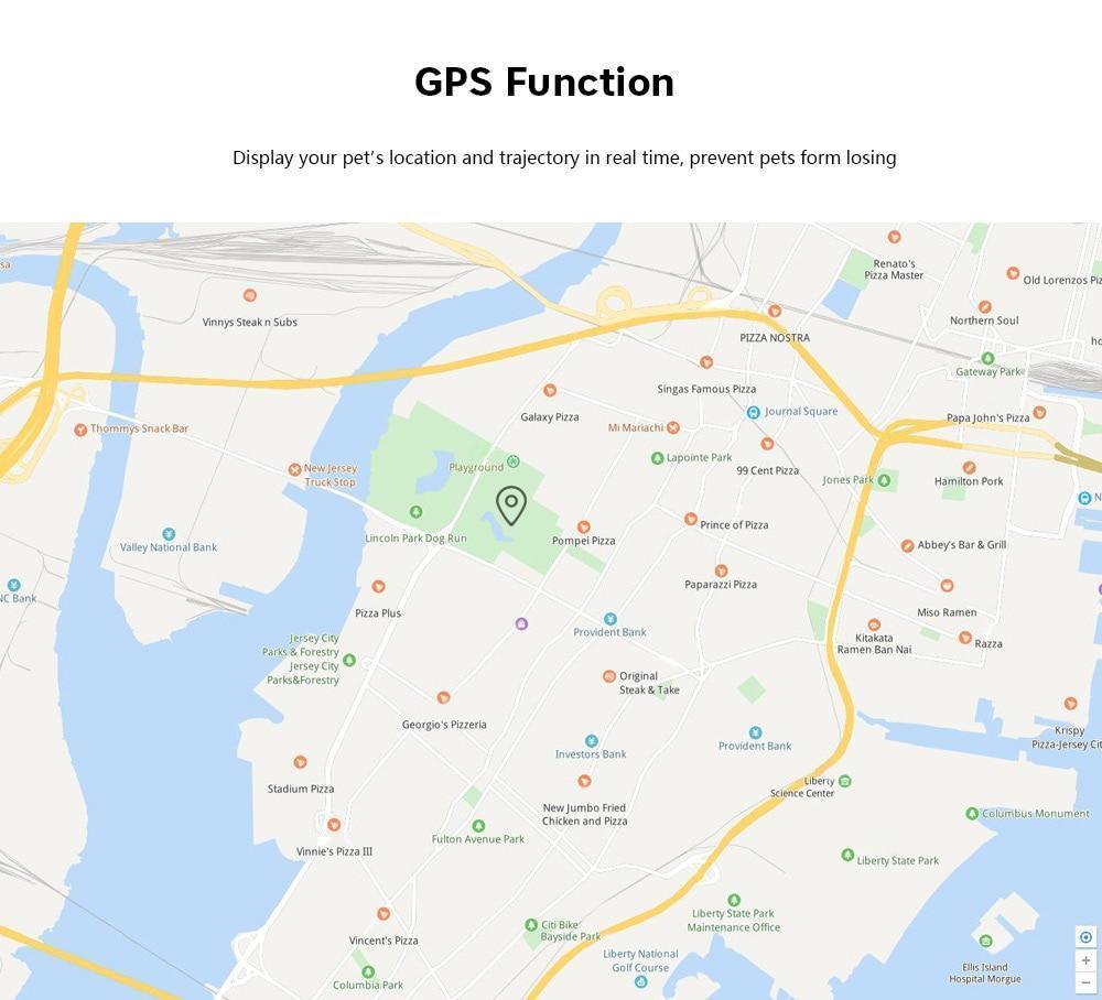 TRACKTAILS - GPS Volgsysteem voor Katten | Real-Time Tracking & Lange Batterijduur