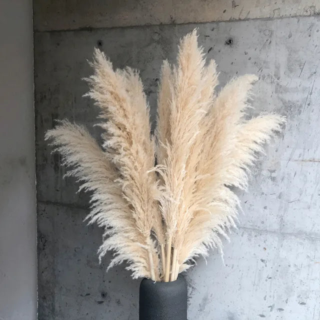 Bohemian Pampas Pluimen - Stijlvolle Natuurlijke Decoratie