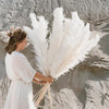 Bohemian Pampas Pluimen - Stijlvolle Natuurlijke Decoratie