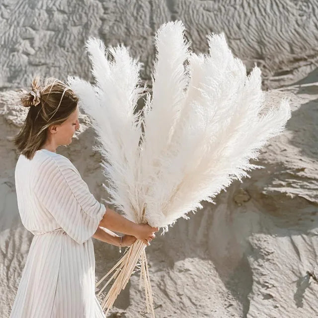 Bohemian Pampas Pluimen - Stijlvolle Natuurlijke Decoratie