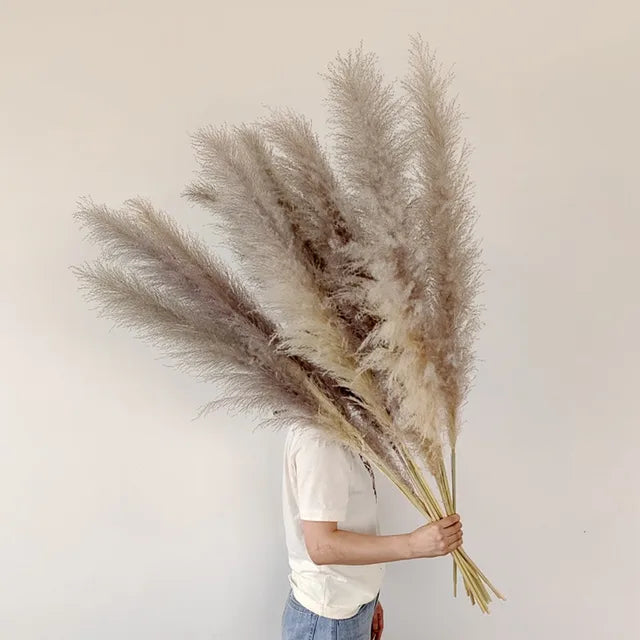 Bohemian Pampas Pluimen - Stijlvolle Natuurlijke Decoratie