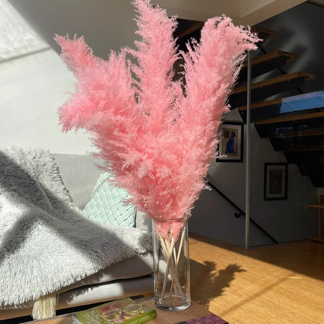 Bohemian Pampas Pluimen - Stijlvolle Natuurlijke Decoratie
