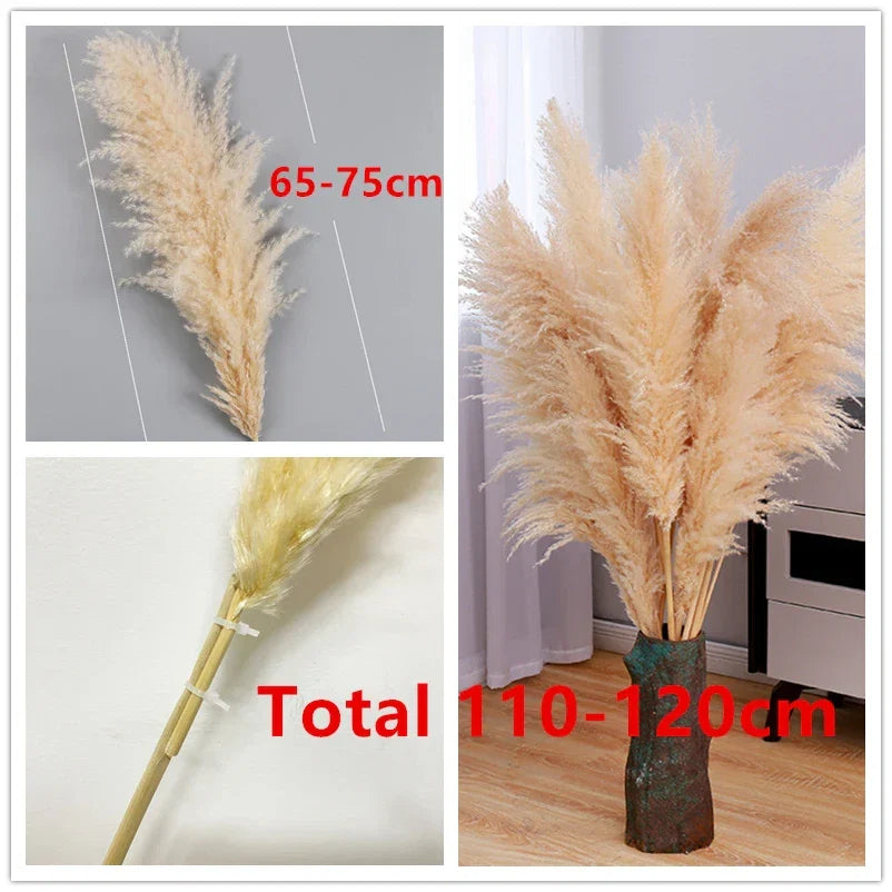 Bohemian Pampas Pluimen - Stijlvolle Natuurlijke Decoratie