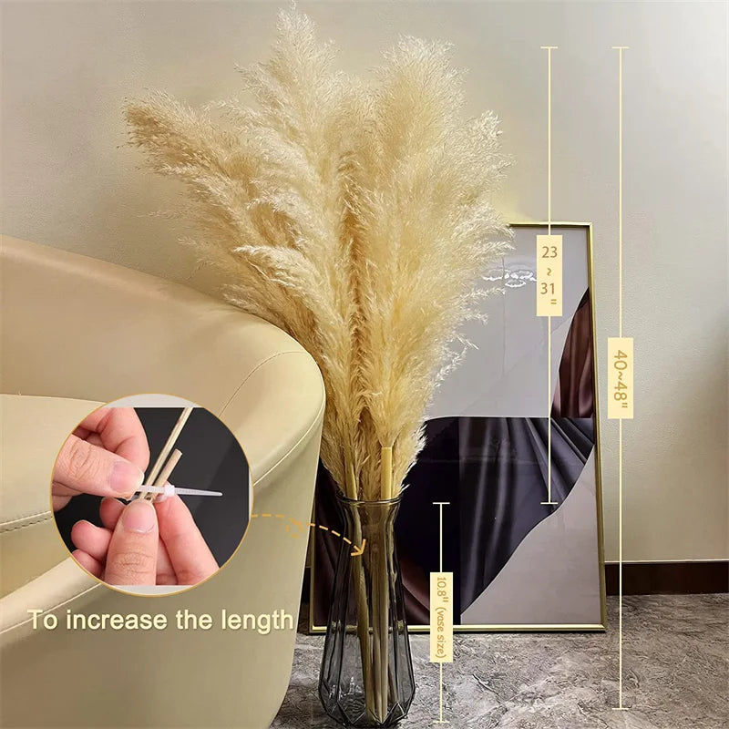Bohemian Pampas Pluimen - Stijlvolle Natuurlijke Decoratie