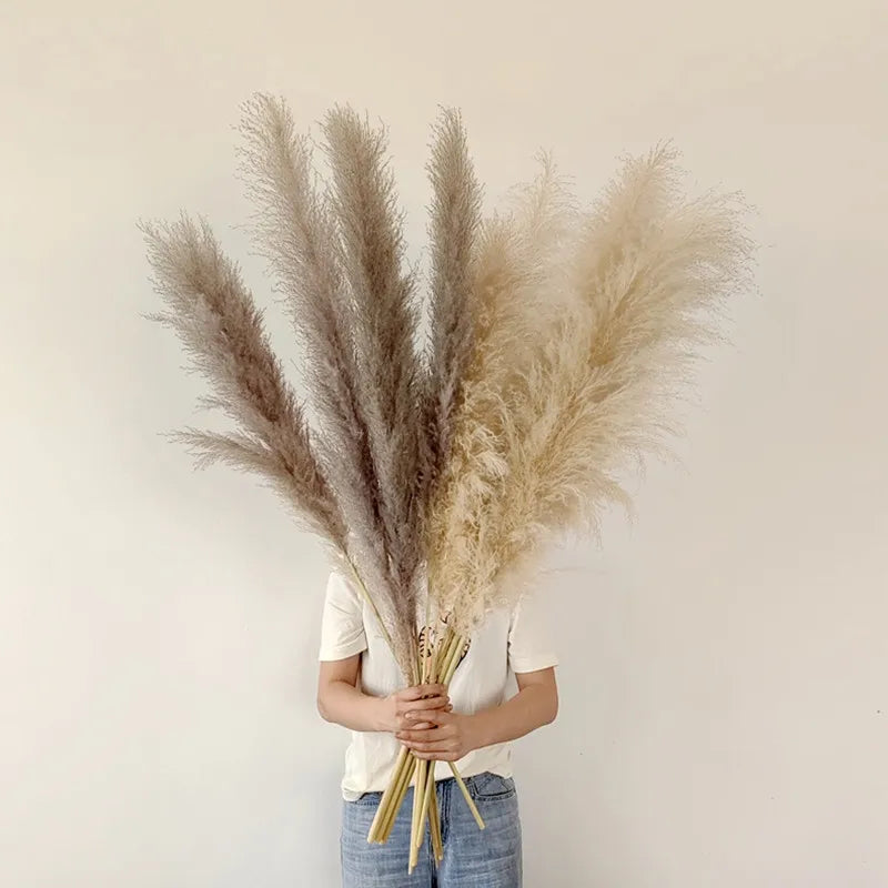 Bohemian Pampas Pluimen - Stijlvolle Natuurlijke Decoratie
