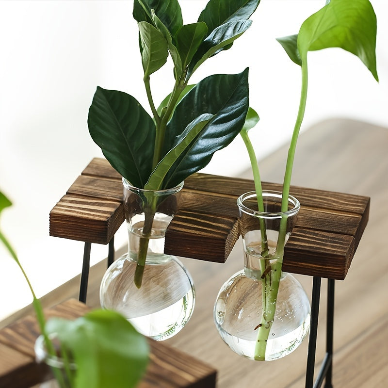 Visconte | Glazen Vaas | Transparant glas, hydroponisch ontwerp, decoratieve bloemenvaas voor woonkamer en bureau