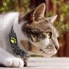 TrackCat - GPS Volgsysteem voor Katten met Real-Time Updates