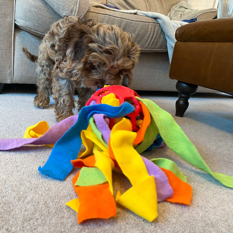 Snuffelbal Honden Puzzel Speelgoed | 1+1 GRATIS