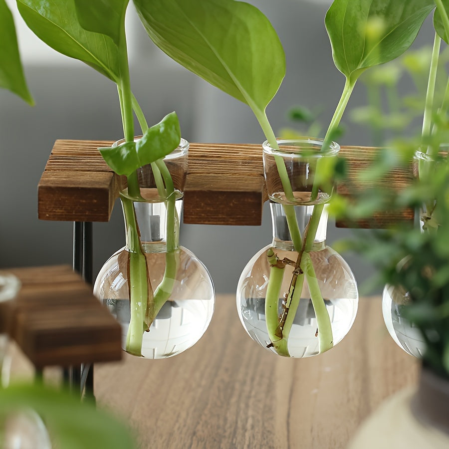 Visconte | Glazen Vaas | Transparant glas, hydroponisch ontwerp, decoratieve bloemenvaas voor woonkamer en bureau