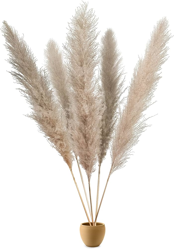 Bohemian Pampas Pluimen - Stijlvolle Natuurlijke Decoratie
