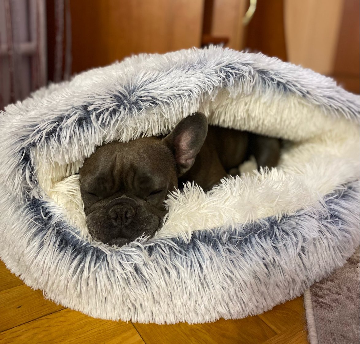 Cozycave Zacht Knuffel Kalmerend Hondenbed Kussen