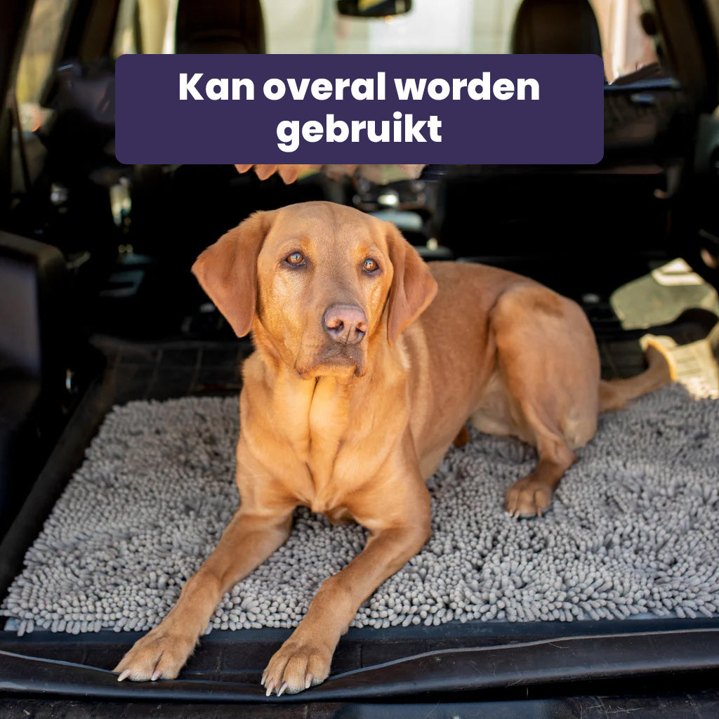 Clean Paw Mat | Honden Deur Schoonloop Mat (1+1 GRATIS)