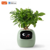 Happy Ivy™ - Jouw Slimme Partner voor Automatische Plantenverzorging!