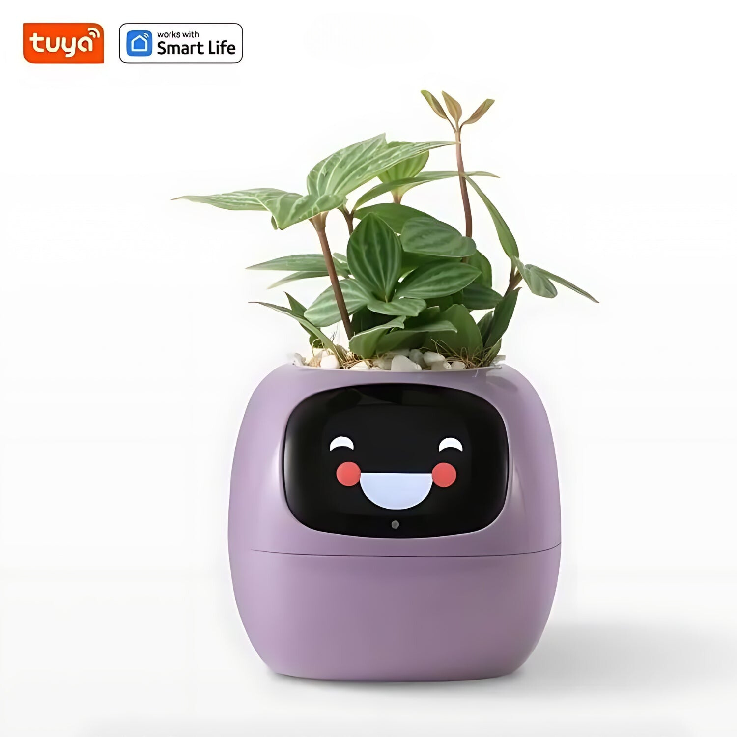 Happy Ivy™ - Jouw Slimme Partner voor Automatische Plantenverzorging!