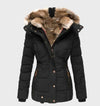 Dikke en warme slimfit winterjas met capuchon Dames Winter Jas - Slimfit - Belle Couture - Essential Warmte