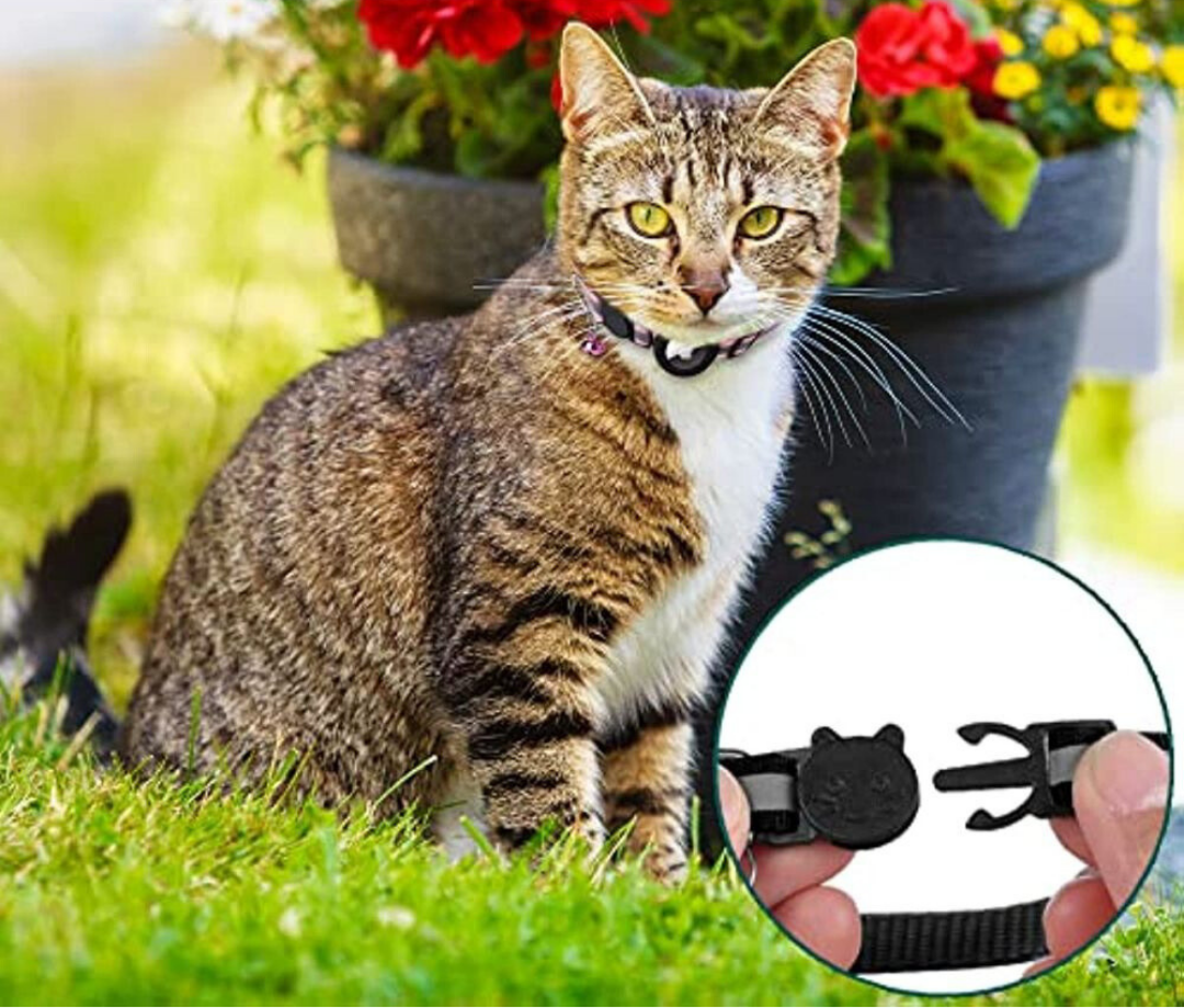CATGUARD – GPS Halsband voor Katten met Reflecterend Design