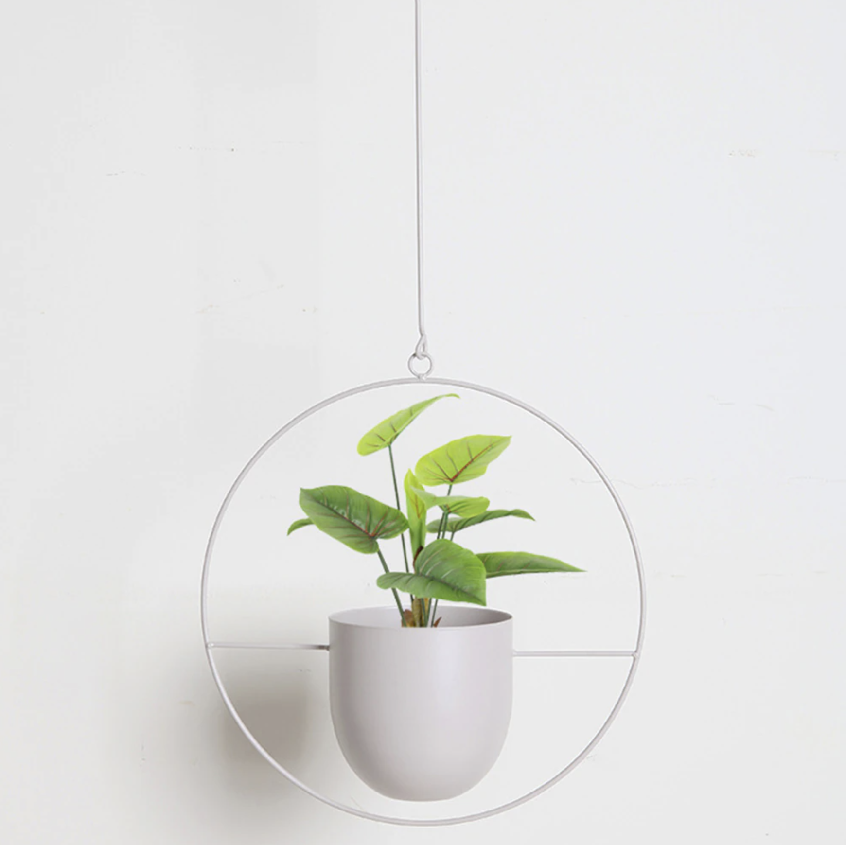 Plant&Tuin | Moderne Minimalistische Plantenhanger van IJzer met Aanpasbare Hangketting – Perfect voor Muurdecoratie