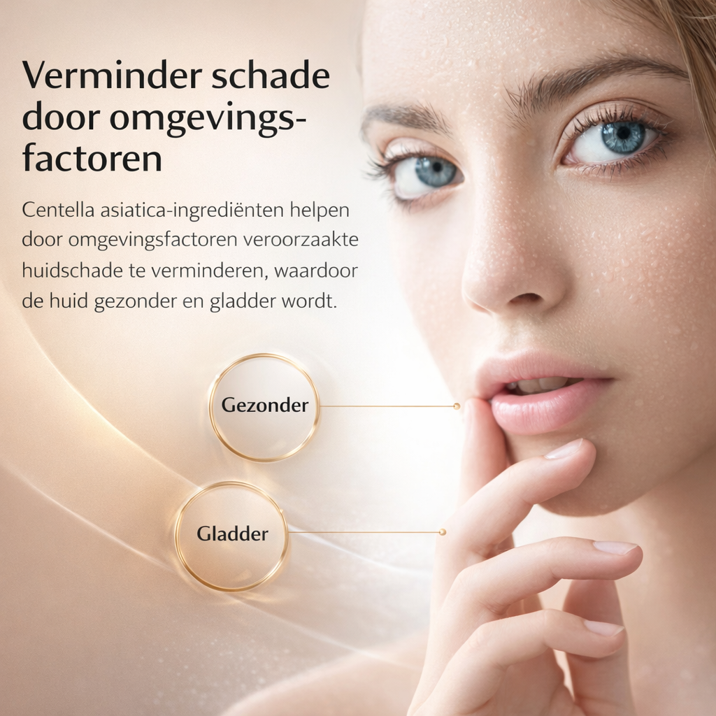 Centella Skincare Set | Kalmeert & hydrateert | gezichtsverzorging