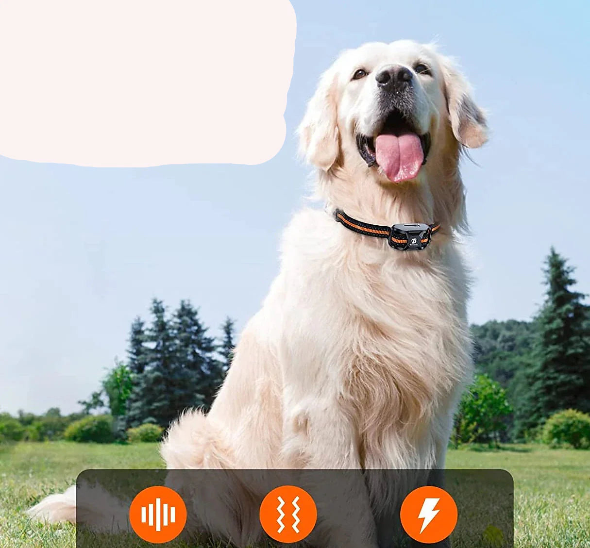 ProCanine 1000m Trainingshalsband | Hondentraining | Waterdichte e-halsband met afstandsbediening