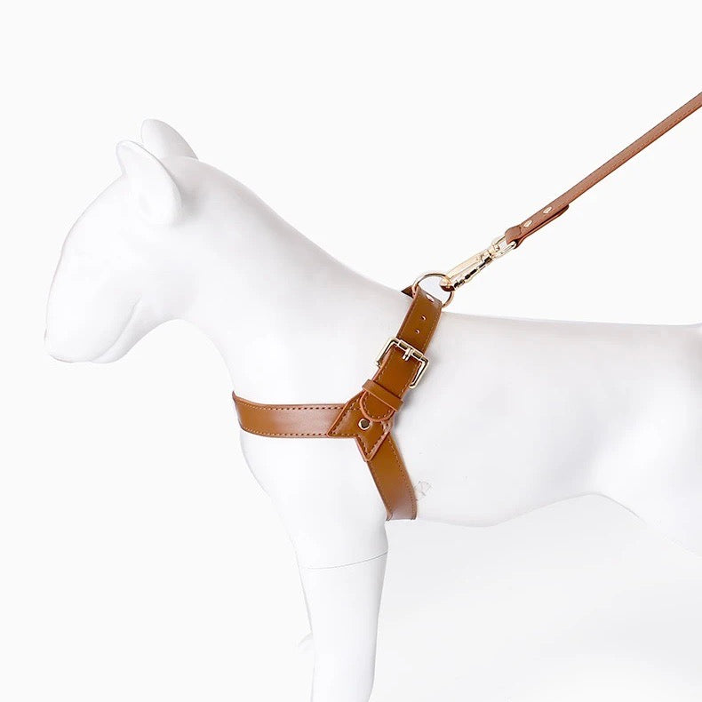 HONDENHUG - Waterdicht Leren Hondentuig | Comfort en Stijl voor Elke Hond