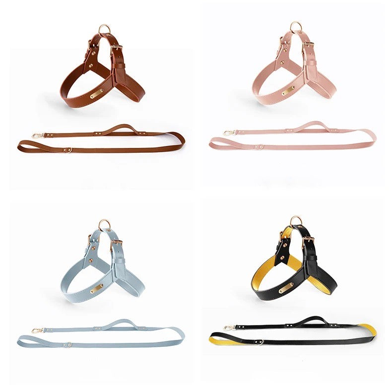 HONDENHUG - Waterdicht Leren Hondentuig | Comfort en Stijl voor Elke Hond