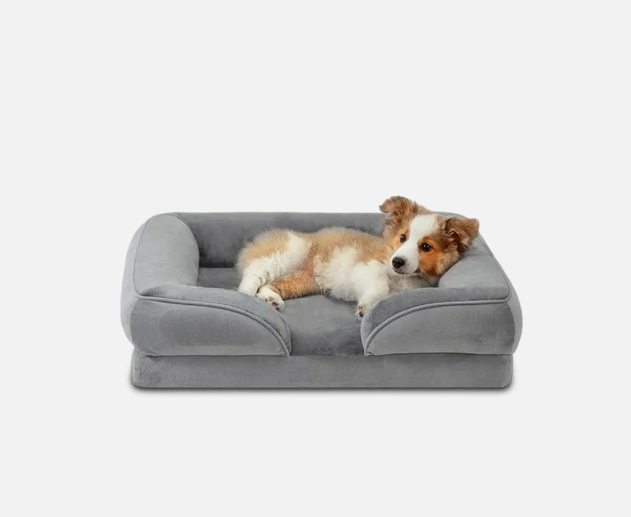 Luxe Orthopedisch Hondenbed