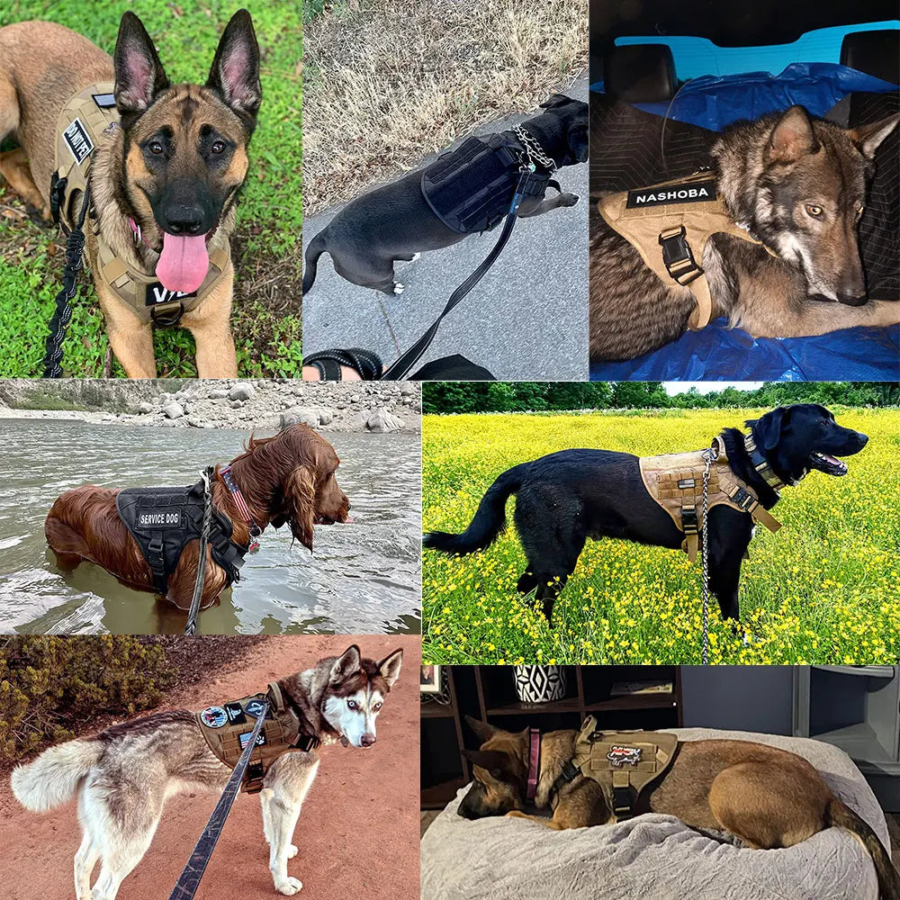 K9 Harnas  – Tactisch Hondentuig voor Honden