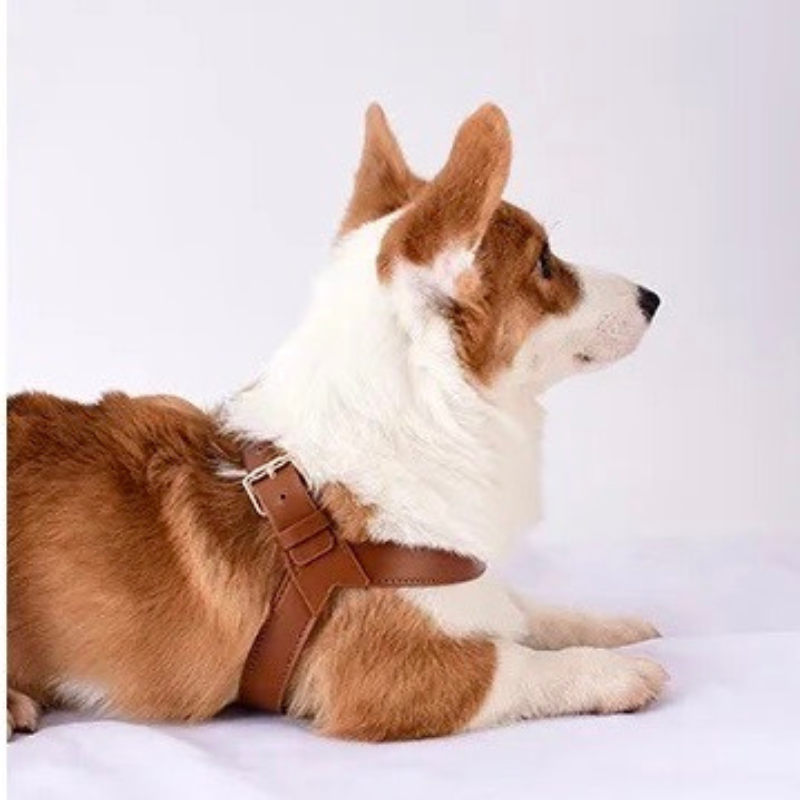 HONDENHUG - Waterdicht Leren Hondentuig | Comfort en Stijl voor Elke Hond